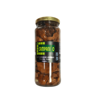 NISCALO ROBELLON SILVESTRE LACTARIUS DELICIOSUS PRODUCTO DE EXTREMADURA